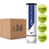 Tecnifibre CHAMPION : CARTON DE 36 TUBES DE 4 BALLES DE TENNIS