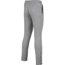 Homme Tecnifibre TEAM PANTS SILVER