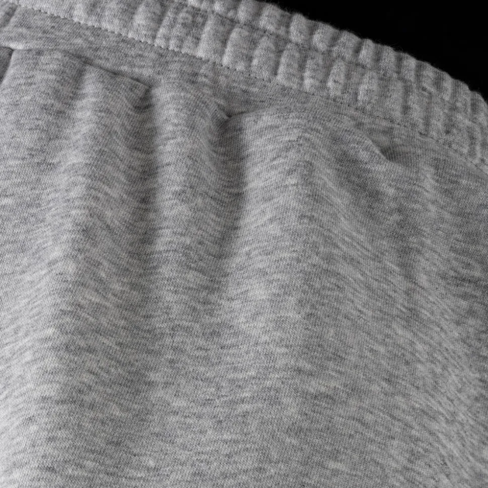 Homme Tecnifibre TEAM PANTS SILVER