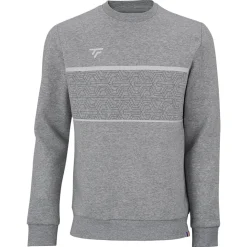 Homme Tecnifibre TEAM SWEATER SILVER